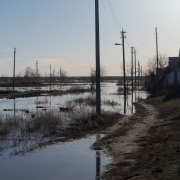 Посмотреть крупнее